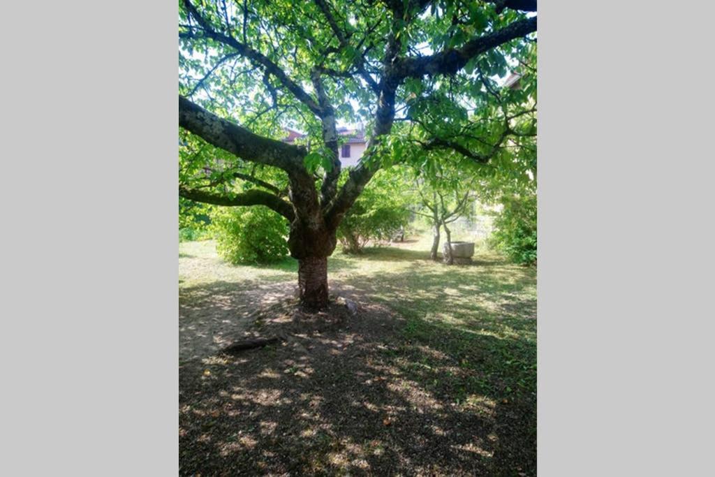 Gite Le Saint-Amour Buitenkant foto